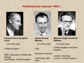 Нобелевская премия 1962 г.
Francis Harry Compton
Crick
James Dewey
Watson
Maurice Hugh Frederick
Wilkins
1/3 of the prize 1/3 of the prize 1/3 of the prize
United Kingdom USA
United Kingdom and New
Zealand
MRC Laboratory of Molecular
Biology
Cambridge, United Kingdom
Harvard University
Cambridge, MA,
USA
London University
London, United Kingdom
 