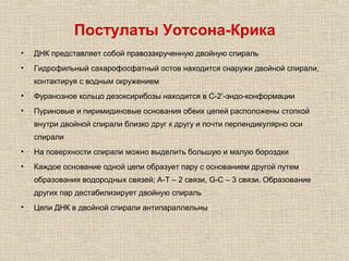 Постулаты Уотсона-Крика
• ДНК представляет собой правозакрученную двойную спираль
• Гидрофильный сахарофосфатный остов находится снаружи двойной спирали,
контактируя с водным окружением
• Фуранозное кольцо дезоксирибозы находится в С-2’-эндо-конформации
• Пуриновые и пиримидиновые основания обеих цепей расположены стопкой
внутри двойной спирали близко друг к другу и почти перпендикулярно оси
спирали
• На поверхности спирали можно выделить большую и малую бороздки
• Каждое основание одной цепи образует пару с основанием другой путем
образования водородных связей; А-Т – 2 связи, G-C – 3 связи. Образование
других пар дестабилизирует двойную спираль
• Цепи ДНК в двойной спирали антипараллельны
 