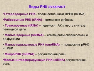 Виды РНК ЭУКАРИОТ
•Гетероядерные РНК– предшественники мРНК (mRNA)
•Рибосомные РНК (rRNA) –компонент рибосом
• Транспортные (tRNA) – переносят АК к месту синтеза
пептидной цепи
• Малые ядерные (snRNA) – компоненты сплайсосомы и
др.функции
• Малые ядрышковые РНК (snoRNA) – процессинг рРНК
и тРНК
• МикроРНК (miRNA) – регуляторная роль
•Малые интерферирующие РНК (siRNA),регуляторная
роль
 