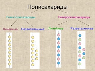 Полисахариды
Гомополисахариды Гетерополисахариды
Линейные РазветвленныеЛинейные Разветвленные
 