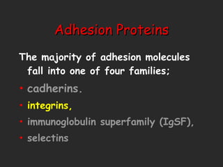 Adhesion Proteins The majority of adhesion molecules fall into one of four families;  cadherins. integrins, immunoglobulin superfamily (IgSF),  selectins 