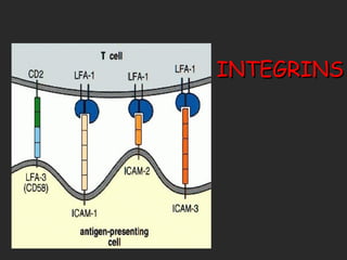 INTEGRINS 
