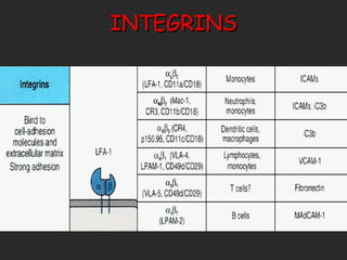 INTEGRINS 