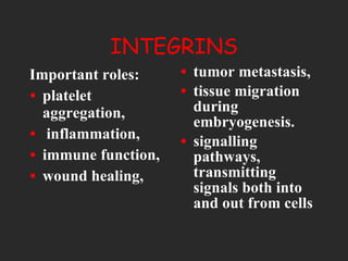 INTEGRINS Important roles: platelet aggregation, inflammation,  immune function,  wound healing,  tumor metastasis, tissue migration during embryogenesis. signalling pathways, transmitting signals both into and out from cells 
