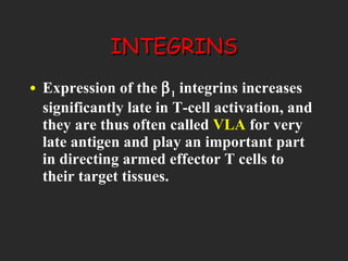 INTEGRINS Expression of the   1  integrins increases significantly late in T-cell activation, and they are thus often called  VLA  for very late antigen and play an important part in directing armed effector T cells to their target tissues. 