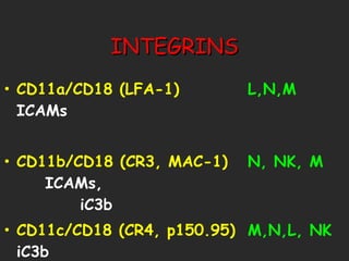 INTEGRINS CD11a/CD18 (LFA-1) L,N,M ICAMs CD11b/CD18 (CR3, MAC-1) N, NK, M  ICAMs,   iC3b CD11c/CD18 (CR4, p150.95) M,N,L, NK  iC3b 