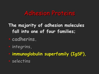 Adhesion Proteins The majority of adhesion molecules fall into one of four families;  cadherins. integrins, immunoglobulin superfamily (IgSF),   selectins 