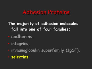 Adhesion Proteins The majority of adhesion molecules fall into one of four families;  cadherins. integrins, immunoglobulin superfamily (IgSF),  selectins 