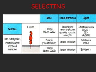SELECTINS 