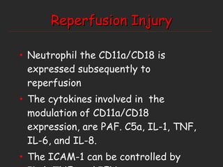 Reperfusion Injury Neutrophil the CD11a/CD18 is expressed subsequently to reperfusion The cytokines involved in  the modulation of CD11a/CD18 expression, are PAF. C5a, IL-1, TNF, IL-6, and IL-8. The ICAM-1 can be controlled by IL-1, TNF, and IFN  