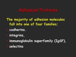Adhesion Proteins The majority of adhesion molecules fall into one of four families;  cadherins. integrins, immunoglobulin superfamily (IgSF),  selectins 