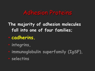 Adhesion Proteins The majority of adhesion molecules fall into one of four families;  cadherins. integrins, immunoglobulin superfamily (IgSF),  selectins 