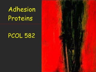Adhesion Proteins PCOL 582 