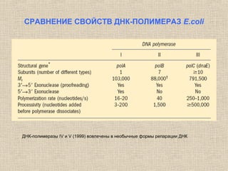 СРАВНЕНИЕ СВОЙСТВ ДНК-ПОЛИМЕРАЗ E.coli
ДНК-полимеразы IV и V (1999) вовлечены в необычные формы репарации ДНК
 