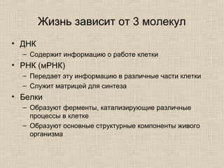 Жизнь зависит от 3 молекул
• ДНК
– Содержит информацию о работе клетки
• РНК (мРНК)
– Передает эту информацию в различные части клетки
– Служит матрицей для синтеза
• Белки
– Образуют ферменты, катализирующие различные
процессы в клетке
– Образуют основные структурные компоненты живого
организма
 