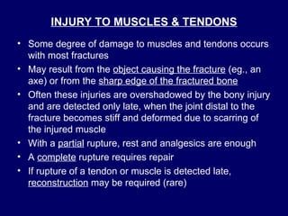 Comprehensive Overview of Fracture Complications and Management ...