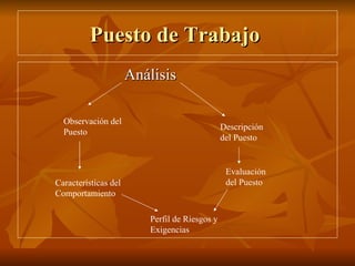 Puesto de Trabajo  Análisis Descripción del Puesto Evaluación del Puesto Observación del Puesto Características del Comportamiento Perfil de Riesgos y Exigencias 