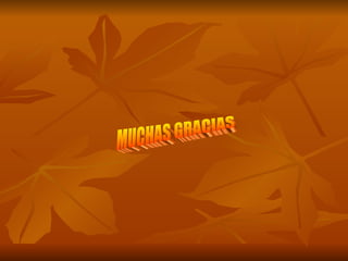 MUCHAS GRACIAS 