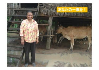 エントリーNo6 norng simさん