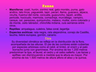 Fauna Mamíferos : coatí, hurón, zorrino real, gato montés, puma, gato andino, tato lince, yaguareté, tapir, pecarí, llama, guanaco, alpaca, vicuña, huemul del norte, corzuela, guazuncho, tapetí, ardilla, pericote, hocicudo, marmota, comadreja, murciélago, vampiro, caraya, caí, perezoso, quirquincho, mataco, mulita, zorro colorado y de monte, osito labrador, chinchilla indiana, cuis serranos entre otros. Reptiles : ampalagua, culebra, falsa coral, lagartija Especies exóticas : rata negra, rata alejandrina, conejo de Castilla, laucha, liebre europea, gorrión, canario. Flora Su diversidad climática se refleja en la distribución de la flora, acompañada de las alturas. El pie de las cumbres están cubiertas por especies arbóreas como el cebil, el timbó, el viraró y el palo borracho junto con gramíneas. Por encima de los 1.200 metros predominan la tipa, el laurel, el cedro y el ceibo salteño. Las lianas y epifitas van disminuyendo a medida que la altura es mayor. Por encima de los 1.500 metros de altura aflora el aliso y la quinoa.  