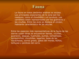 Fauna La fauna en estos desiertos andinos es escasa. Los principales exponentes de la zona son los roedores, como el chinchillón y el tucutuco. Los camélidos están representados por los guanacos y las vicuñas. Entre las aves se destaca el cóndor, habitante característico de las alturas.  Entre las especies más representativas de la fauna de las sierras suban dinas se encuentran llamas, vicuñas, guanacos, alpacas, huemules, pumas, comadrejas, quirquinchos, chinchillas, lagartos, boas de las vizcacheras, zorros grises, gatos del monte, búhos, lechuzas y perdices del cerro.  