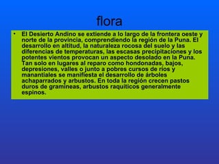 flora El Desierto Andino se extiende a lo largo de la frontera oeste y norte de la provincia, comprendiendo la región de la Puna. El desarrollo en altitud, la naturaleza rocosa del suelo y las diferencias de temperaturas, las escasas precipitaciones y los potentes vientos provocan un aspecto desolado en la Puna. Tan solo en lugares al reparo como hondonadas, bajos, depresiones, valles o junto a pobres cursos de ríos y manantiales se manifiesta el desarrollo de árboles achaparrados y arbustos. En toda la región crecen pastos duros de gramíneas, arbustos raquíticos generalmente espinos.  