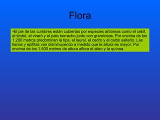 Flora El pie de las cumbres están cubiertas por especies arbóreas como el cebil, el timbó, el viraró y el palo borracho junto con gramíneas. Por encima de los 1.200 metros predominan la tipa, el laurel, el cedro y el ceibo salteño. Las lianas y epifitas van disminuyendo a medida que la altura es mayor. Por encima de los 1.500 metros de altura aflora el aliso y la quínoa.  