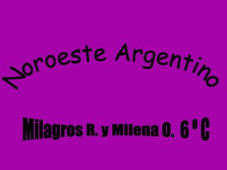 Noroeste Argentino Milagros R. y Milena O.  6 º C 