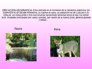 UBICACIÓN GEOGRAFICA: Esta ubicada en el noroeste de la república argentina. Su superficie es de 155.488 kilómetros, su capital es salta. su población es de 1.215.207.y su clima es .un clima árido y frío con bruscas   variaciones térmicas entre el día y la noche  .SUS  ciudades principales son :salta, tartajal, san ramón de la nueva Orán, general guemes y metan .  Fauna Flora 