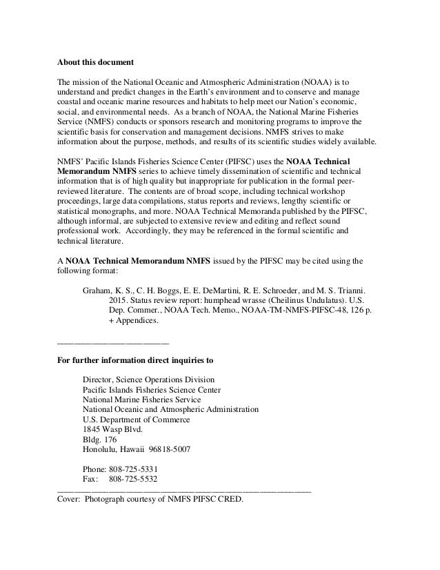 tech memo format
