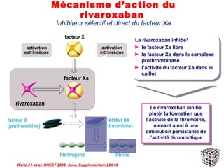 Mécanisme d’action du
                          rivaroxaban
                         Inhibiteur sélectif et direct du facteur Xa

                              facteur X                            Le rivaroxaban inhibe1 1
                                                                    Le rivaroxaban inhibe
         activation                               activation       ► le facteur Xa libre
                                                                    ► le facteur Xa libre
        extrinsèque                              intrinsèque       ► le facteur Xa dans le complexe
                                                                    ► le facteur Xa dans le complexe
                                                                      prothrombinase
                                                                       prothrombinase
                                                                   ► l’activité du facteur Xa dans le
                                                                    ► l’activité du facteur Xa dans le
                                                                      caillot
                                                                       caillot
                             facteur Xa



   rivaroxaban
                                                                          Le rivaroxaban inhibe
                                                                           Le rivaroxaban inhibe
                                                                         plutôt la formation que
                                                                          plutôt la formation que
facteur II                                           facteur IIa       l’activité de la thrombine,
                                                                        l’activité de la thrombine,
(prothrombine)                                       (thrombine)            menant ainsi ààune
                                                                             menant ainsi une
                                                                       diminution persistante de
                                                                        diminution persistante de
                                                                         l’activité thrombotique
                                                                          l’activité thrombotique


                           fibrinogène                   fibrine
    Weitz J.I. et al. CHEST 2008, June, Supplementum 234-56
 