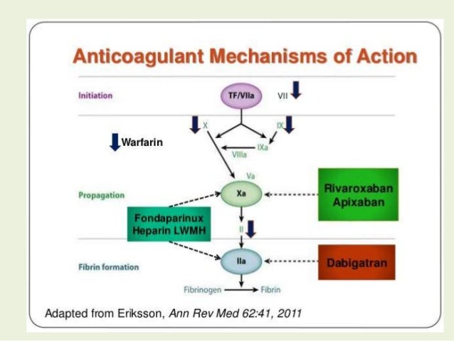 praxbind mechanism of action