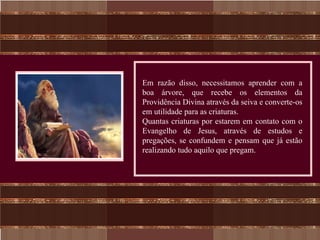 Em razão disso, necessitamos aprender com a
boa árvore, que recebe os elementos da
Providência Divina através da seiva e converte-os
em utilidade para as criaturas.
Quantas criaturas por estarem em contato com o
Evangelho de Jesus, através de estudos e
pregações, se confundem e pensam que já estão
realizando tudo aquilo que pregam.
 