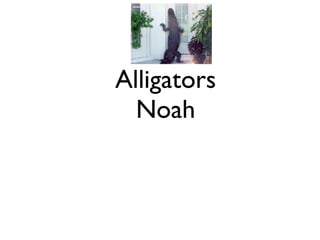 Alligators
  Noah
 