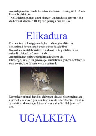 Animali jauzilari hau da katuetan handiena. Horrez gain 8-13 urte
bitarte bizi daiteke.
Txikia denean,pumak gutxi pisatzen du,handiagoa denean 40kg
eta helduak direnean 100kg edo gehiago pisa deiteke.
ElikaduraPuma animalia haragijalea da,hau da,haragiaz elikatzen
dira.animali honen janari gogokoenak hauek dira:
Oreinak eta motak horietako bizidunak ditu gustuko, baina
animali txikien konformatzen da ere.
Animali honek ehizatzeko horrela jokatzen du:
lehenengo,ikusten du;geroxeago, animaliaren gainean botatzen da
eta azkeniz,lepotik hartu eta jan egiten du.
Normalean animali handiak ehizatzen ditu,adibidez:oreinak,eta
mufloiak eta horrez gain,arantzurdeak eta erbioak ehizatzen ditu.
Janaririk ez duenean,aurkitzen dituen animalia hilak jaten ohi
ditu.
UGALKETA
 