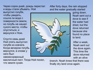 Через сорок дней, дождь перестал
и воды стали убывать. Ной
выпустил голубя,
чтобы увидеть,
сошла ли вода с
поверхности земли,
но голубь не нашел
сухого места, чтобы
опуститься, и
вернулся к Ною.
Спустя семь дней
Ной опять выпустил
голубя из ковчега.
Когда вечером голубь
вернулся, в клюве у
него был
свежесорванный
масличный лист. Тогда Ной понял,
что земля сухая.
After forty days, the rain stopped
and the water gradually started
going down.
Noah sent out a
dove to see if
the water had
dried, but the
dove returned
because she
found no place
to land.
After a week,
Noah sent out
the dove again.
This time the
dove returned
with an olive
branch. Noah knew that there was
finally dry land once again.
 