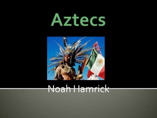 Aztecs Noah Hamrick 