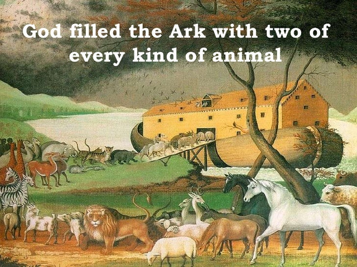build an ark