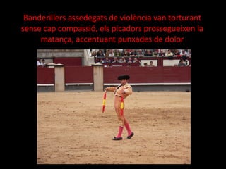 Banderillers assedegats de violència van torturant sense cap compassió, els picadors prossegueixen la matança, accentuant punxades de dolor 