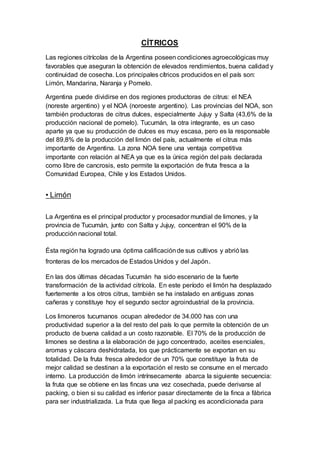 CÍTRICOS
Las regiones citrícolas de la Argentina poseen condiciones agroecológicas muy
favorables que aseguran la obtención de elevados rendimientos, buena calidad y
continuidad de cosecha. Los principales cítricos producidos en el país son:
Limón, Mandarina, Naranja y Pomelo.
Argentina puede dividirse en dos regiones productoras de citrus: el NEA
(noreste argentino) y el NOA (noroeste argentino). Las provincias del NOA, son
también productoras de citrus dulces, especialmente Jujuy y Salta (43,6% de la
producción nacional de pomelo). Tucumán, la otra integrante, es un caso
aparte ya que su producción de dulces es muy escasa, pero es la responsable
del 89,8% de la producción del limón del país, actualmente el citrus más
importante de Argentina. La zona NOA tiene una ventaja competitiva
importante con relación al NEA ya que es la única región del país declarada
como libre de cancrosis, esto permite la exportación de fruta fresca a la
Comunidad Europea, Chile y los Estados Unidos.
• Limón
La Argentina es el principal productor y procesador mundial de limones, y la
provincia de Tucumán, junto con Salta y Jujuy, concentran el 90% de la
producción nacional total.
Ésta región ha logrado una óptima calificaciónde sus cultivos y abrió las
fronteras de los mercados de Estados Unidos y del Japón.
En las dos últimas décadas Tucumán ha sido escenario de la fuerte
transformación de la actividad citrícola. En este período el limón ha desplazado
fuertemente a los otros citrus, también se ha instalado en antiguas zonas
cañeras y constituye hoy el segundo sector agroindustrial de la provincia.
Los limoneros tucumanos ocupan alrededor de 34.000 has con una
productividad superior a la del resto del país lo que permite la obtención de un
producto de buena calidad a un costo razonable. El 70% de la producción de
limones se destina a la elaboración de jugo concentrado, aceites esenciales,
aromas y cáscara deshidratada, los que prácticamente se exportan en su
totalidad. De la fruta fresca alrededor de un 70% que constituye la fruta de
mejor calidad se destinan a la exportación el resto se consume en el mercado
interno. La producción de limón intrínsecamente abarca la siguiente secuencia:
la fruta que se obtiene en las fincas una vez cosechada, puede derivarse al
packing, o bien si su calidad es inferior pasar directamente de la finca a fábrica
para ser industrializada. La fruta que llega al packing es acondicionada para
 