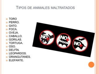 TIPOS DE ANIMALES MALTRATADOS
 TORO
 PERRO.
 GATO.
 FOCA.
 OVEJA.
 CABALLO.
 GORILAS.
 TORTUGA.
 OSO.
 DELFÍN.
 LEOPARDOS.
 ORANGUTANES.
 ELEFANTE.
 