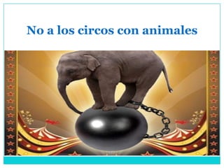 No a los circos con animales
 