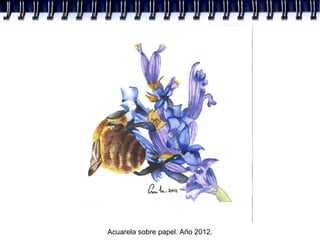 Acuarela sobre papel. Año 2012.
 
