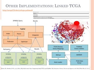 OTHER IMPLEMENTATIONS: LINKED TCGA
Saleem, M., Kamdar, M. R., et al. (2014). Big linked cancer data: Integrating linked TCGA and PubMed. Web Semantics: Science, Services and Agents on the World Wide Web, 27, 34-41.
http://srvgal78.deri.ie/tcga-pubmed/
 