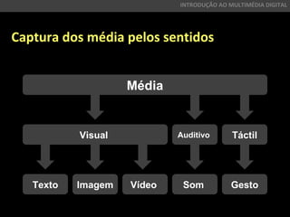 INTRODUÇÃO AO MULTIMÉDIA DIGITAL
Texto Imagem Vídeo Som Gesto
Visual Auditivo Táctil
Média
Captura dos média pelos sentidos
 