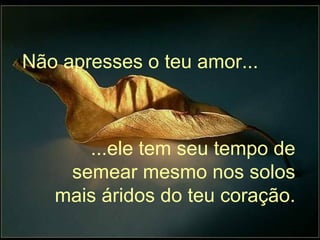 Não apresses o teu amor... ...ele tem seu tempo de semear mesmo nos solos mais áridos do teu coração. 