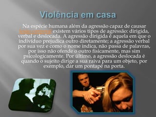 Violência em casa       Na espécie humana além da agressão capaz de causar lesão corporal existem vários tipos de agressão: dirigida, verbal e deslocada. A agressão dirigida é aquela em que o indivíduo prejudica outro diretamente; a agressão verbal por sua vez e como o nome indica, não passa de palavras, por isso não ofende o outro fisicamente, mas sim psicologicamente. Por último, a agressão deslocada é quando o sujeito dirige a sua raiva para um objeto, por exemplo, dar um pontapé na porta.