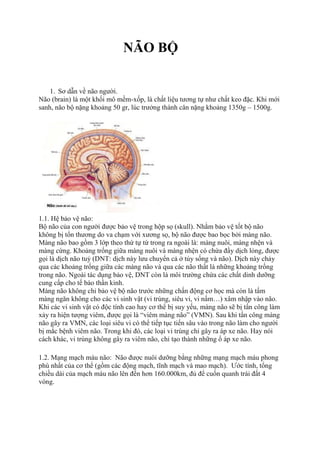 NÃO BỘ
1. Sơ dẫn về não người.
Não (brain) là một khối mô mềm-xốp, là chất liệu tương tự như chất keo đặc. Khi mới
sanh, não bộ nặng khoảng 50 gr, lúc trưởng thành cân nặng khoảng 1350g – 1500g.
1.1. Hệ bảo vệ não:
Bộ não của con người được bảo vệ trong hộp sọ (skull). Nhằm bảo vệ tốt bộ não
không bị tổn thương do va chạm với xương sọ, bộ não được bao bọc bởi màng não.
Màng não bao gồm 3 lớp theo thứ tự từ trong ra ngoài là: màng nuôi, màng nhện và
màng cứng. Khoảng trống giữa màng nuôi và màng nhện có chứa đầy dịch lỏng, được
gọi là dịch não tuỷ (DNT: dịch này lưu chuyển cả ở tủy sống và não). Dịch này chảy
qua các khoảng trống giữa các màng não và qua các não thất là những khoảng trống
trong não. Ngoài tác dụng bảo vệ, DNT còn là môi trường chứa các chất dinh dưỡng
cung cấp cho tế bào thần kinh.
Màng não không chỉ bảo vệ bộ não trước những chấn động cơ học mà còn là tấm
màng ngăn không cho các vi sinh vật (vi trùng, siêu vi, vi nấm…) xâm nhập vào não.
Khi các vi sinh vật có độc tính cao hay cơ thể bị suy yếu, màng não sẽ bị tấn công làm
xảy ra hiện tượng viêm, được gọi là “viêm màng não” (VMN). Sau khi tấn công màng
não gây ra VMN, các loại siêu vi có thể tiếp tục tiến sâu vào trong não làm cho người
bị mắc bệnh viêm não. Trong khi đó, các loại vi trùng chỉ gây ra áp xe não. Hay nói
cách khác, vi trùng không gây ra viêm não, chỉ tạo thành những ổ áp xe não.
1.2. Mạng mạch máu não: Não được nuôi dưỡng bằng những mạng mạch máu phong
phú nhất của cơ thể (gồm các động mạch, tĩnh mạch và mao mạch). Ước tính, tổng
chiều dài của mạch máu não lên đến hơn 160.000km, đủ để cuốn quanh trái đất 4
vòng.
 