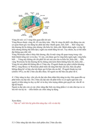 Vùng lời nói: có 2 vùng liên quan đến lời nói:
Vùng Broca thuộc vùng 44, 45 của thùy trán. Đây là vùng chi phối vận động của các
cơ quan tham gia vào động tác phát âm như: thanh quản, môi, lưỡi … Khi vùng này
tổn thương thì bị chứng câm nhưng vẫn hiểu lời, hiểu chữ. Bệnh nhân nghe và đọc thì
hiểu nhưng không thể diễn đạt ý nghĩ của mình bằng lời nói. Tuy nhiên, họ có thể diễn
đạt thông qua chữ viết.
Vùng Wernicke nằm ở thùy thái dương, đây là một vùng rất quan trọng trong việc
hình thành tiếng nói và tư duy. Vì vậy, còn được gọi là vùng hiểu ngôn ngữ, vùng hiểu
biết … Vùng này không chỉ chi phối lời nói mà còn cho ta hiểu lời, hiểu chữ … Khi
vùng Wernicke bị tổn thương thì bị chứng câm kèm thêm không hiểu lời, hiểu chữ…
Vùng lời nói phân bố không đều ở 2 bán cầu. Ở người thuận tay phải (chiếm khoảng
90%), vùng Broca và Wernicke phát triển rất rộng bên bán cầu trái, bán cầu phải
không đáng kể và bán cầu trái được gọi là bán cầu ưu thế. Ở người thuận tay trái
(chiếm 10%), ưu thế 2 bán cầu đều nhau. Số người ưu thế bán cầu phải rất ít.
4/. Chức năng tư duy: chủ yếu do đại não đảm nhận khả năng tư duy liên quan đến sự
phát triển của đại não. Do 2 bán cầu đại não rất phát triển và có ngôn ngữ nên con
người có khả năng tư duy cụ thể và tư duy trừu tượng nhằm giải quyết các vấn đề và
lập kế hoạch.
Ngoài ra đại não còn có các chức năng đặc biệt của từng phần ở vỏ não như tạo ra và
lưu trữ vào ký ức – điều khiển các chức năng tự động.
Xem thêm:
– “Bật mí” mối liên hệ giữa khả năng đọc viết và não bộ
5.3. Chức năng đại não theo cách phân chia 2 bán cầu não.
 