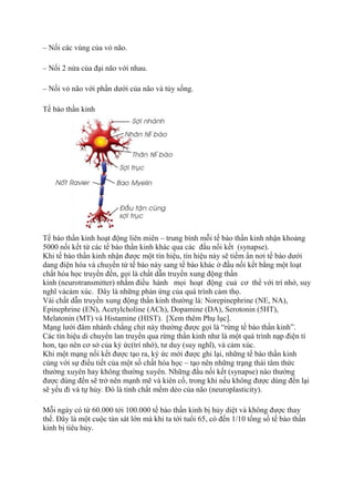 – Nối các vùng của vỏ não.
– Nối 2 nửa của đại não với nhau.
– Nối vỏ não với phần dưới của não và tủy sống.
Tế bào thần kinh
Tế bào thần kinh hoạt động liên miên – trung bình mỗi tế bào thần kinh nhận khoảng
5000 nối kết từ các tế bào thần kinh khác qua các đầu nối kết (synapse).
Khi tế bào thần kinh nhận được một tín hiệu, tín hiệu này sẽ tiềm ẩn nơi tế bào dưới
dang điện hóa và chuyển từ tế bào này sang tế bào khác ở đầu nối kết bằng một loạt
chất hóa học truyền đến, gọi là chất dẫn truyền xung động thần
kinh (neurotransmitter) nhằm điều hành mọi hoạt động cuả cơ thể với trí nhớ, suy
nghĩ vàcảm xúc. Đây là những phản ứng của quá trình cảm thọ.
Vài chất dẫn truyền xung động thần kinh thường là: Norepinephrine (NE, NA),
Epinephrine (EN), Acetylcholine (ACh), Dopamine (DA), Serotonin (5HT),
Melatonin (MT) và Histamine (HIST). [Xem thêm Phụ lục].
Mạng lưới đâm nhánh chằng chịt này thường được gọi là “rừng tế bào thần kinh”.
Các tín hiệu di chuyển lan truyền qua rừng thần kinh như là một quá trình nạp điện tí
hon, tạo nên cơ sở của ký ức(trí nhớ), tư duy (suy nghĩ), và cảm xúc.
Khi một mạng nối kết được tạo ra, ký ức mới được ghi lại, những tế bào thần kinh
cùng với sự điều tiết của một số chất hóa học – tạo nên những trạng thái tâm thức
thường xuyên hay không thường xuyên. Những đầu nối kết (synapse) nào thường
được dùng đến sẽ trở nên mạnh mẽ và kiên cố, trong khi nếu không được dùng đến lại
sẽ yếu đi và tự hủy. Đó là tính chất mềm dẻo của não (neuroplasticity).
Mỗi ngày có từ 60.000 tới 100.000 tế bào thần kinh bị hủy diệt và không được thay
thế. Đây là một cuộc tàn sát lớn mà khi ta tới tuổi 65, có đến 1/10 tổng số tế bào thần
kinh bị tiêu hủy.
 